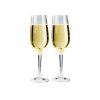 144236 sada sklenicek gsi nesting champagne flute set