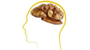 Top Nutrients For Brain Health