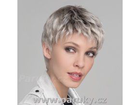 Risk Sensitive 1 s logem