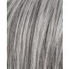 Perücke Loop (Varianta 44.61.39, Perückenfarbe saltpepper mix)