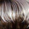 Paruka Icon (barva Silver_Grey_Brown_60_101_8&Root8)