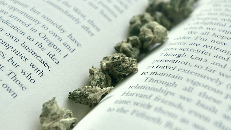 SPRIEVODCA CBD PRODUKTMI