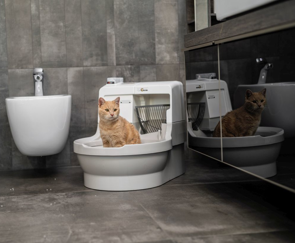 Záchod pro kočičky
