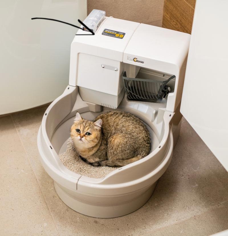 Kočičí toaleta bez zápachu
