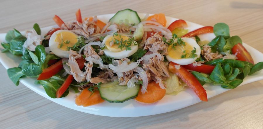 salad-686473_1920-900x440