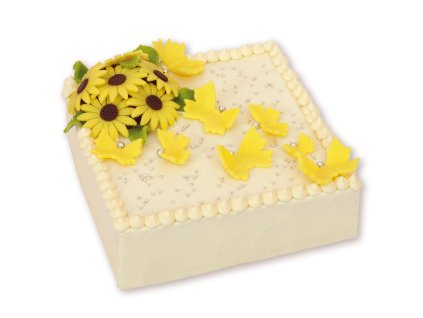 5084 Dort Xenie 1340g