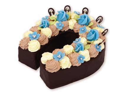 5086 Dort Sharlote 2470g