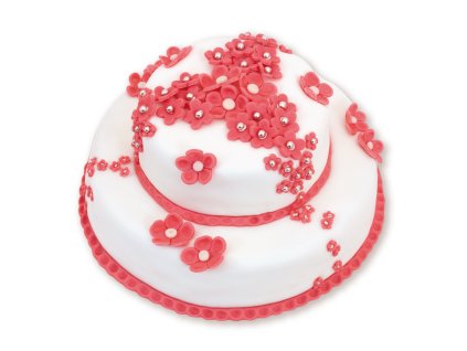 5100 Dort Na louce 1950g