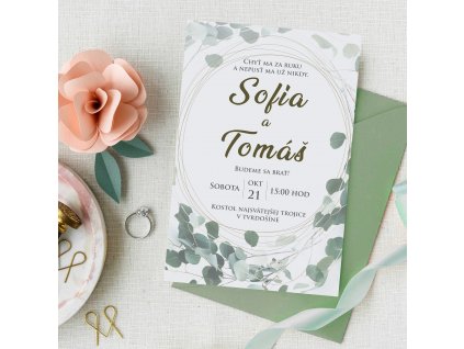 typ 3 s pozadím (1)