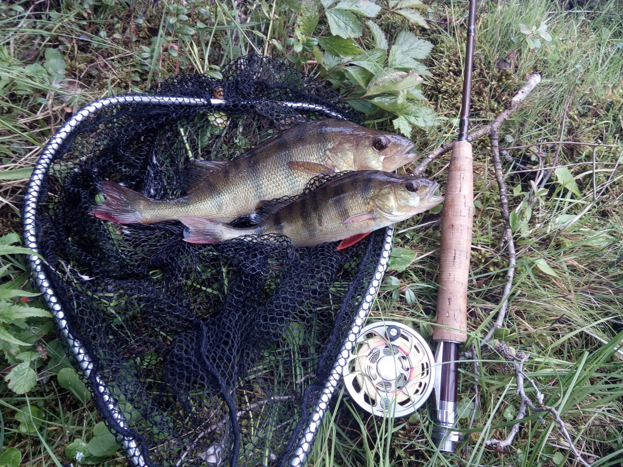 finsko5