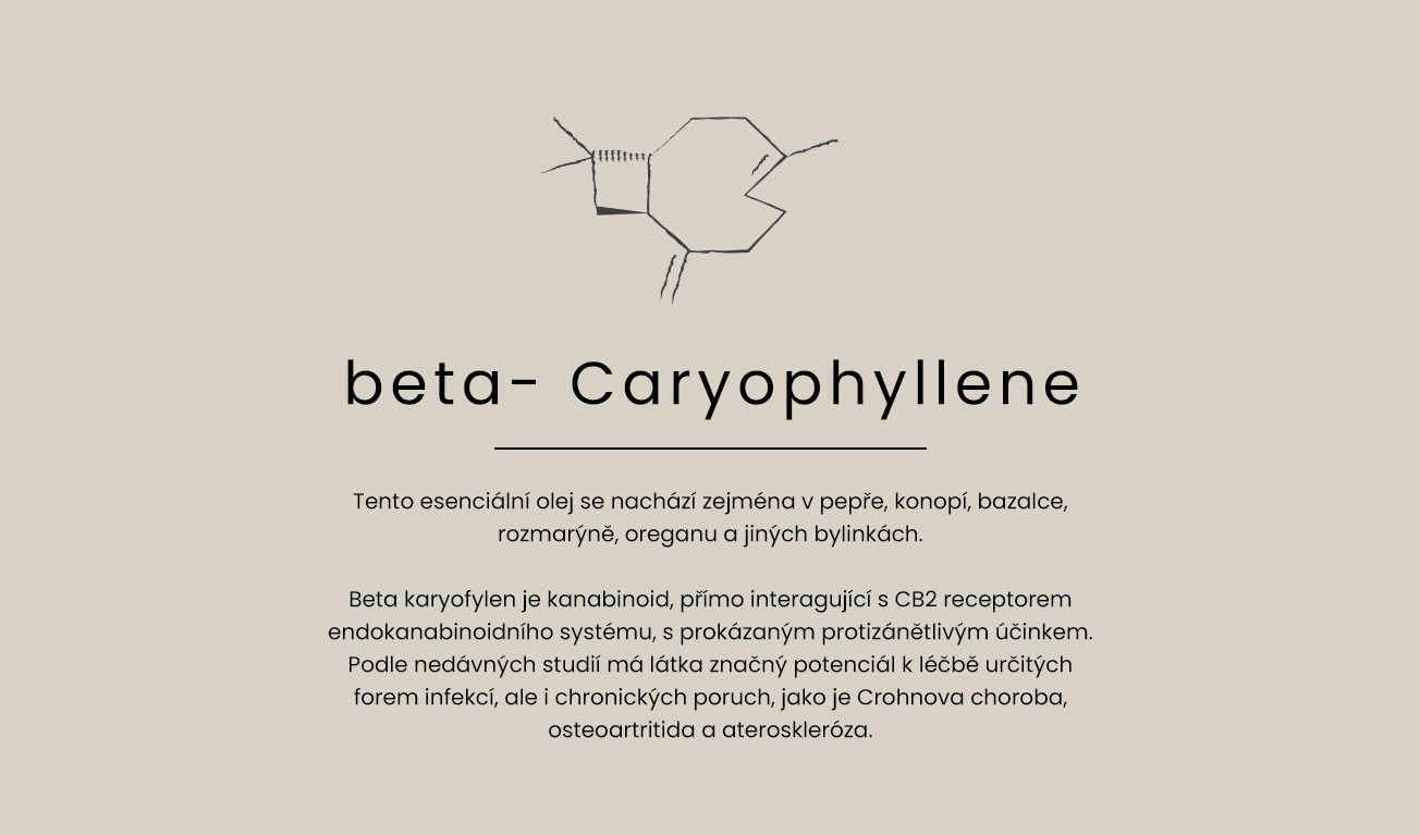 beta-caryophyllene1