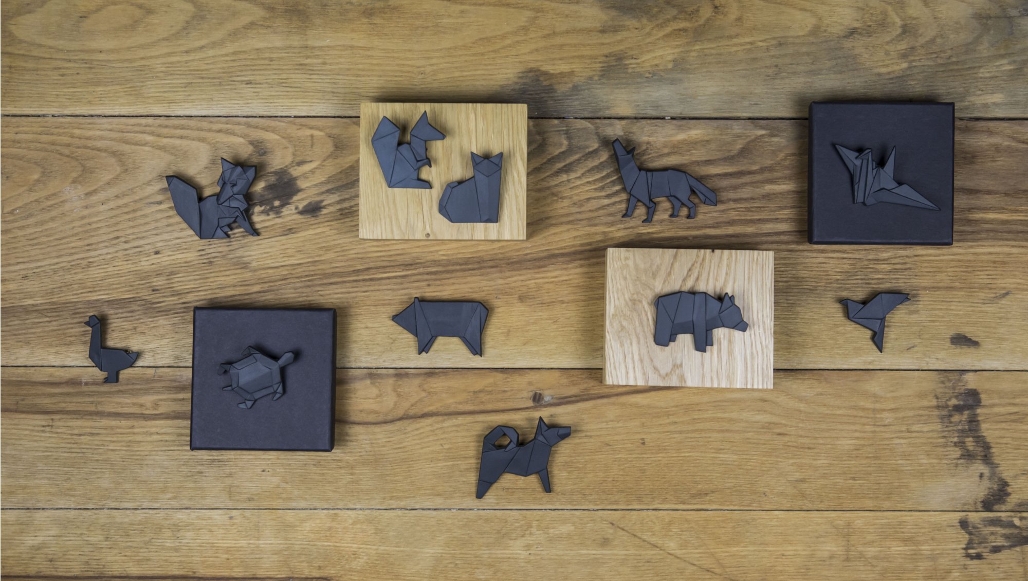 Jak vybrat brože v roce 2024