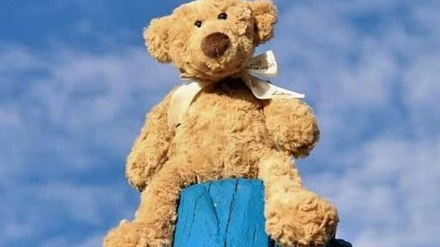 Co je plyšový medvěd a jak ho vybrat