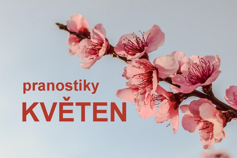 Co je pranostika - historie a současnost