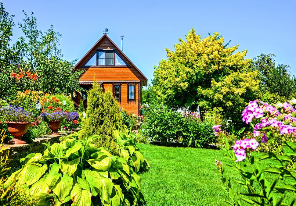 Co je rekolaudace - jak funguje a probíhá
