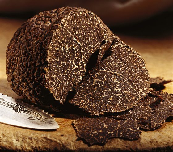 Jak poznat lanýže: Tipy a triky pro hledače lanýžů