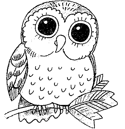 Jak nakreslit sovu - jednoduchý návod krok za krokem