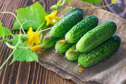 Jak pěstovat okurky: Návod pro úspěšnou sklizeň