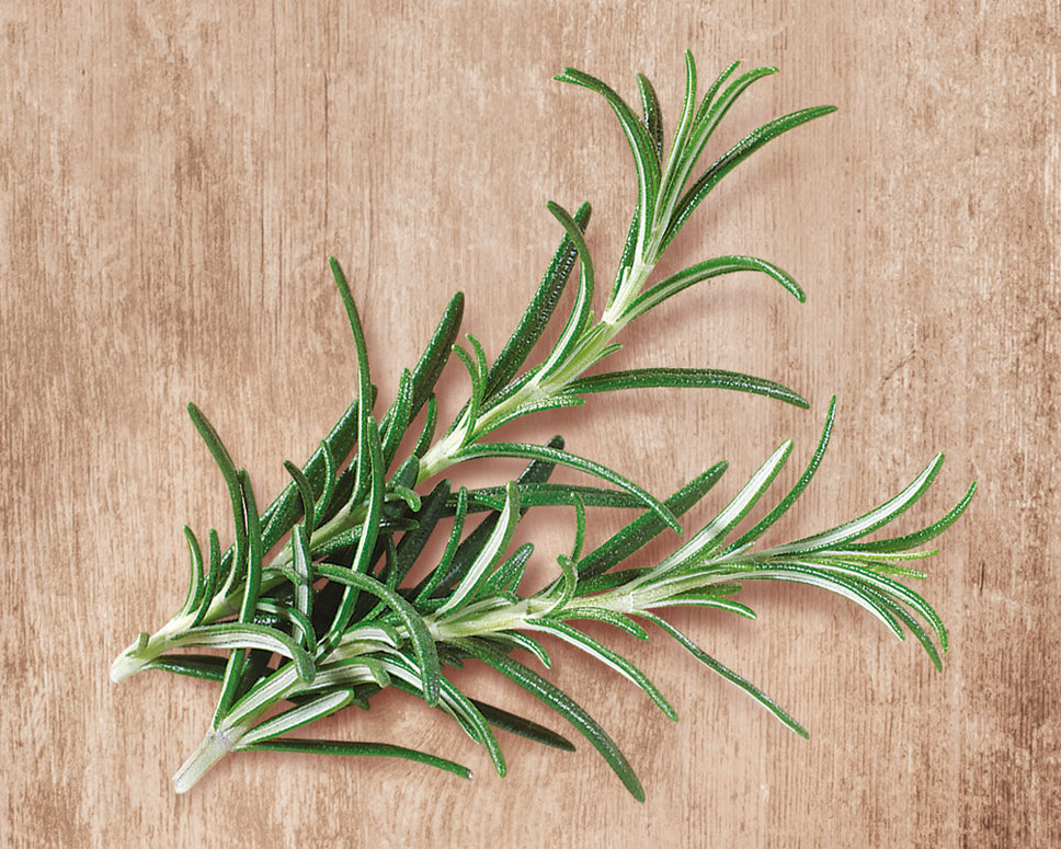 Jak pěstovat rozmarýn a využít ho ve vaší kuchyni