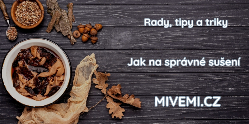 Jinan dvoulaločný jak sušit listy - tipy a triky