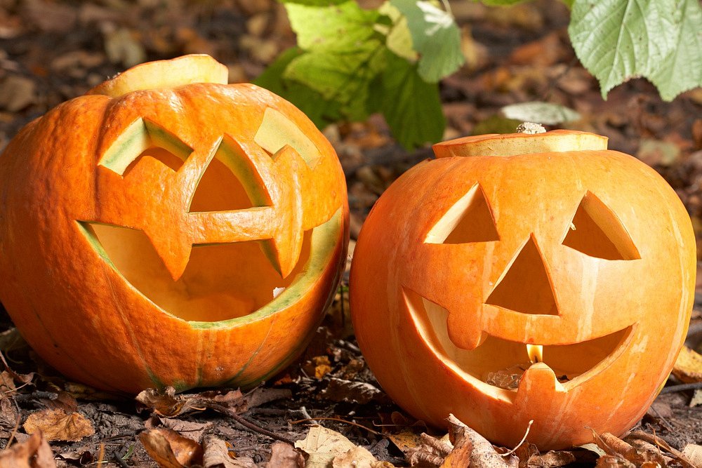 Jak vyřezat dýni - krok za krokem