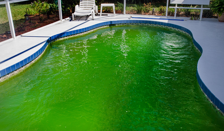 Jak účinně vyčistit zelený bazén: Postup a tip na prevenci