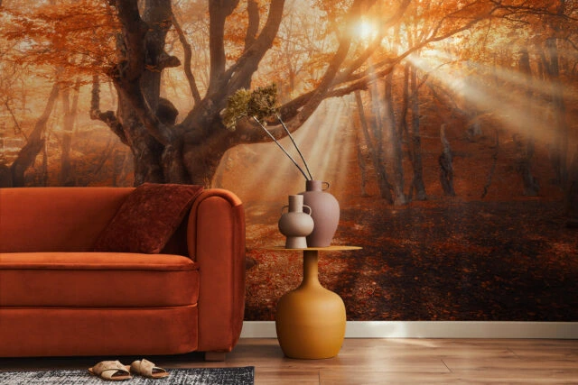 Jak vybrat fototapety