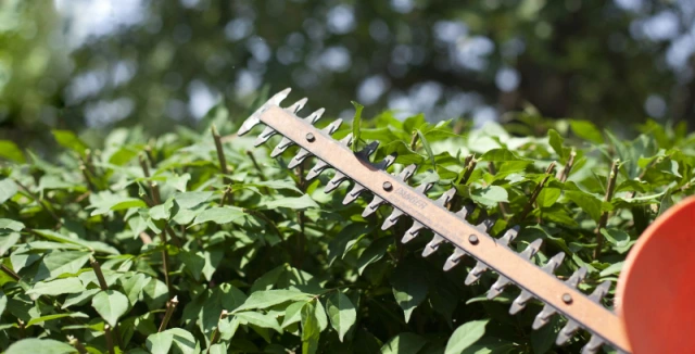 Jak vybrat nůžky na živý plot