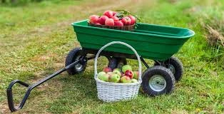 Jak vybrat vozíky pro děti na zahradu