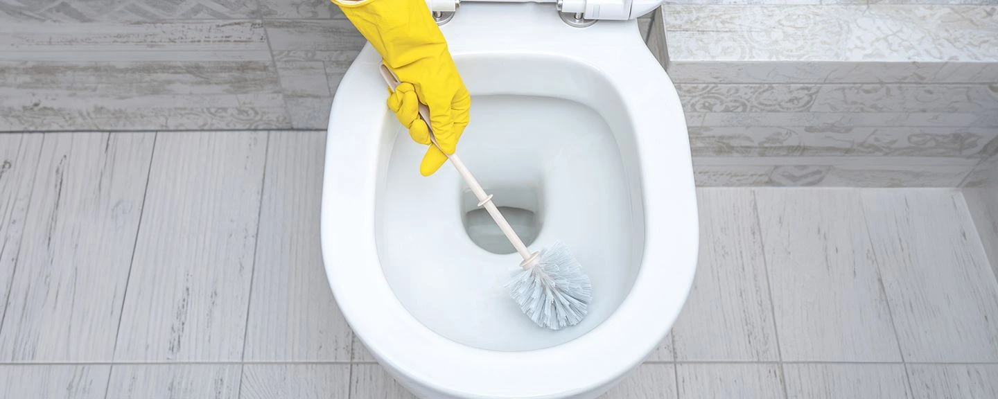 Jak vybrat WC štětky