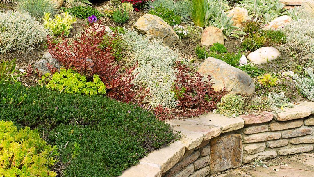 Jak založit skalku - Krok za krokem