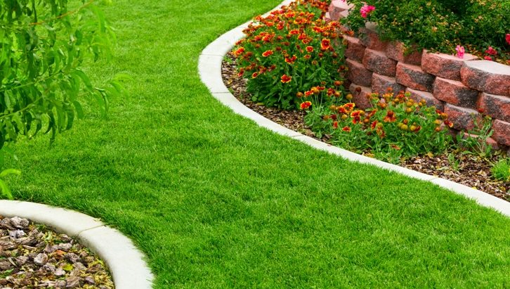 Jak založit trávník - Praktický návod