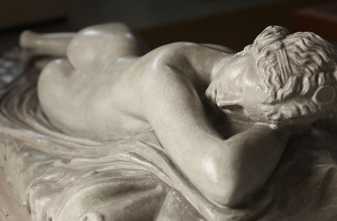 Co je hermafrodit - pojem u lidí, zvířat i rostlin