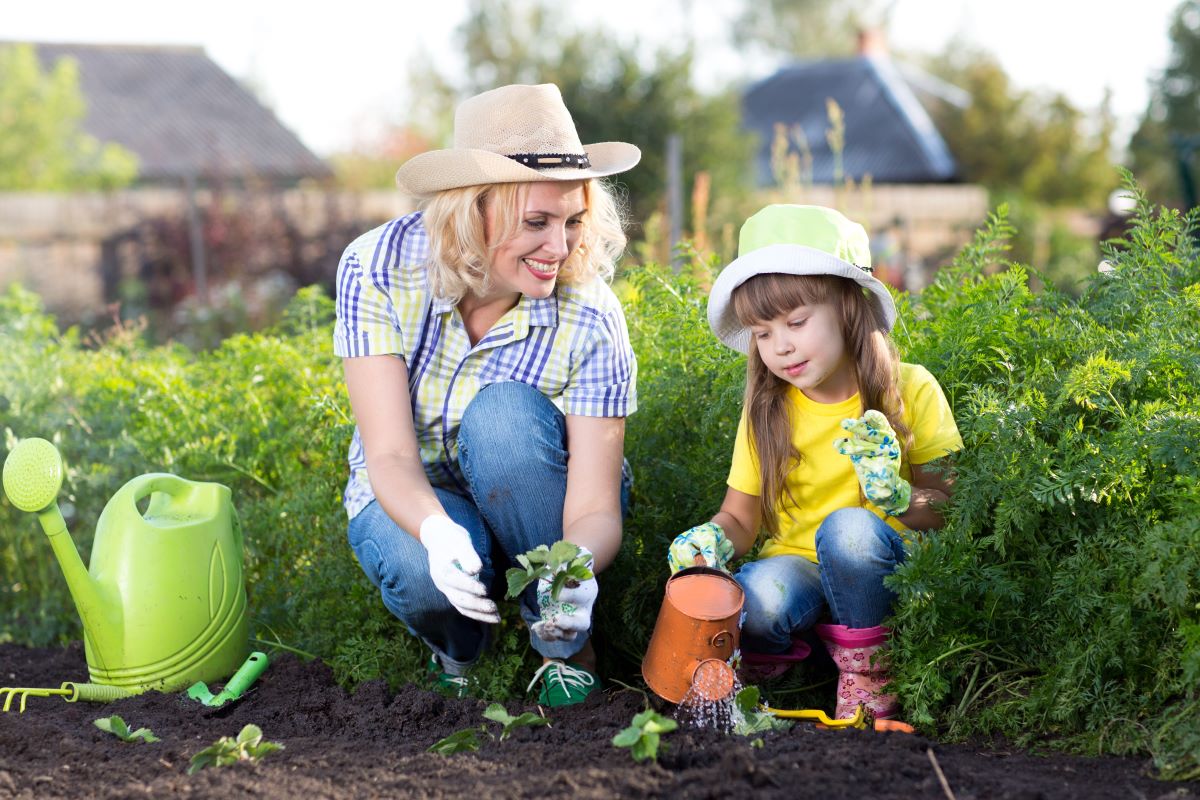 Zakládáme domácí zahrádku s dětmi: Průvodce krok za krokem
