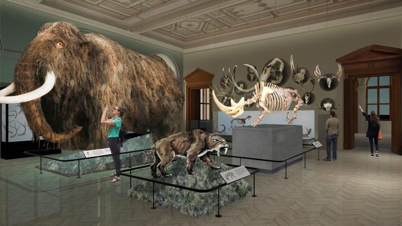 Národní muzeum Praha – informace