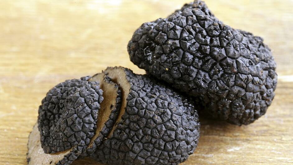 Jak vzniká lanýž: Tajemství této vzácné pochoutky