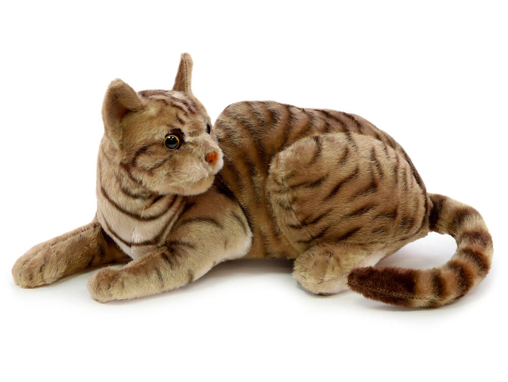 Jaké jsou nejoblíbenější plyšové hračky z minulého století?