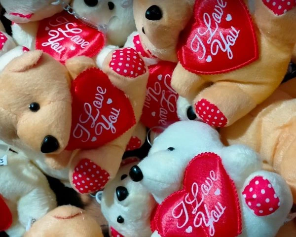 Jak prát plyšáky v pračce?