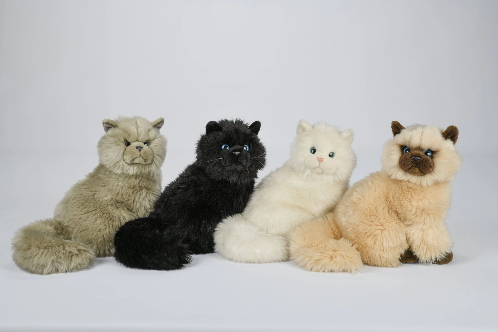 Co je plyšová kočka a jak ji vybrat