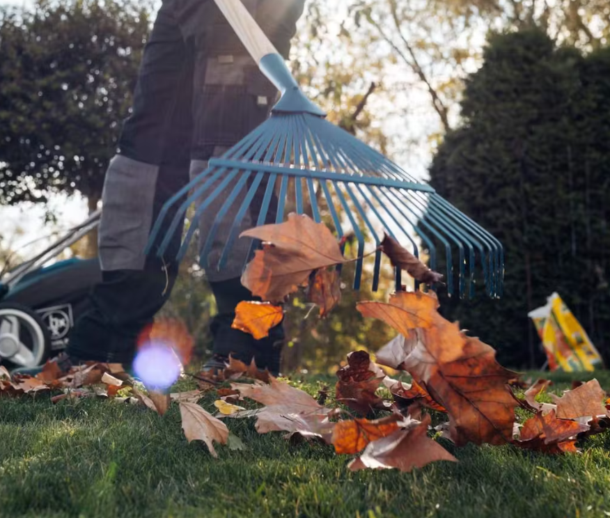 Zahradní design, zahradní nábytek a péče o rostliny