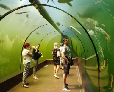 Tipy na výlety s dětmi