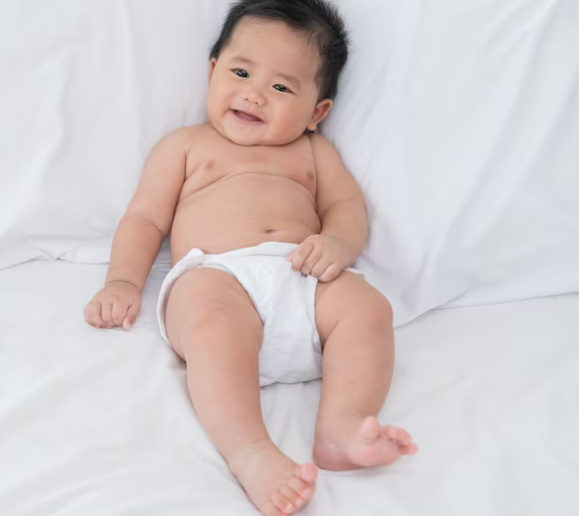 Plenkový dort: Co to je a jak ho vyrobit