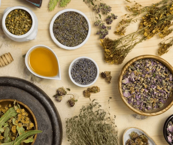 Bylinky na podporu zdraví: Které vybrat