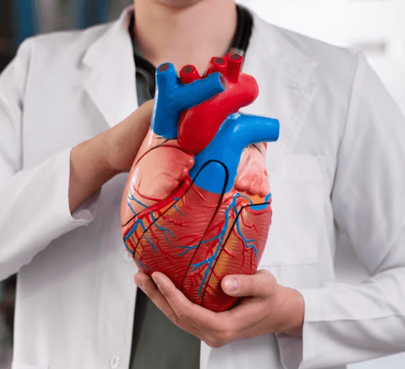 Jak probíhá operace bypass