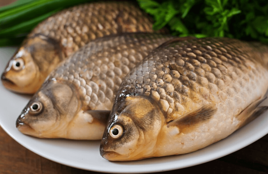 Jak vykostit kapra jako profesionál: Krok za krokem