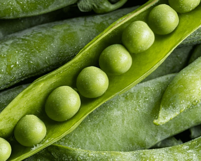 Jak zavařit hrášek: Recept na naložený zelený hrášek