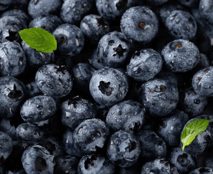 Jak zavařit borůvky: Sladké zásoby plné vitamínů