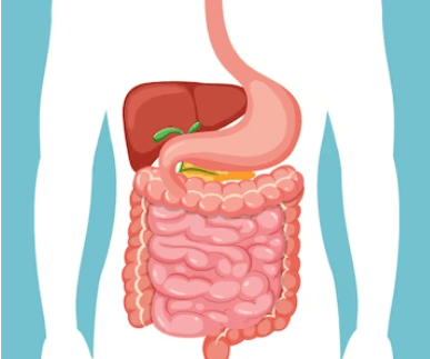 Jak na bolest žlučníku: Prevence a řízení obtíží
