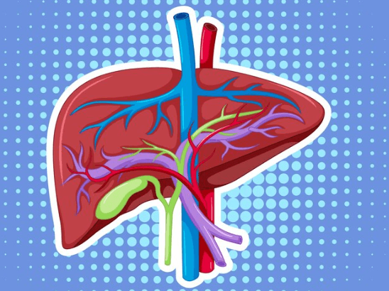 Co je hepatopatie a jaké jsou typy