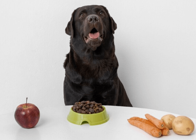 Proč ten pes tloustne? Známe nejčastější důvody